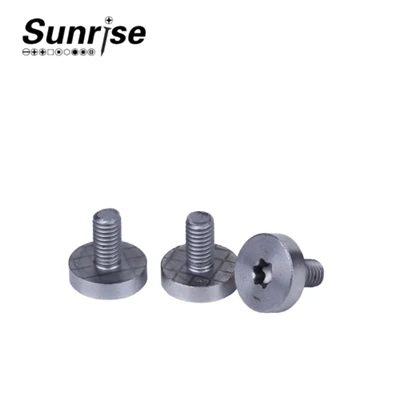 Cap Head Torx drifvélarskrúfur
