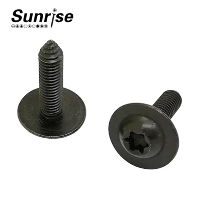 Pan Head Torx Socket Machine Tapping Automotive Skrúfa