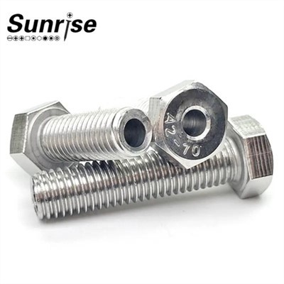 Ryðfrítt stál sívalur ytri sexhyrndur höfuð Holur í gegnum holuboltar