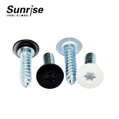 Torx Pan Head sjálftappandi skrúfa